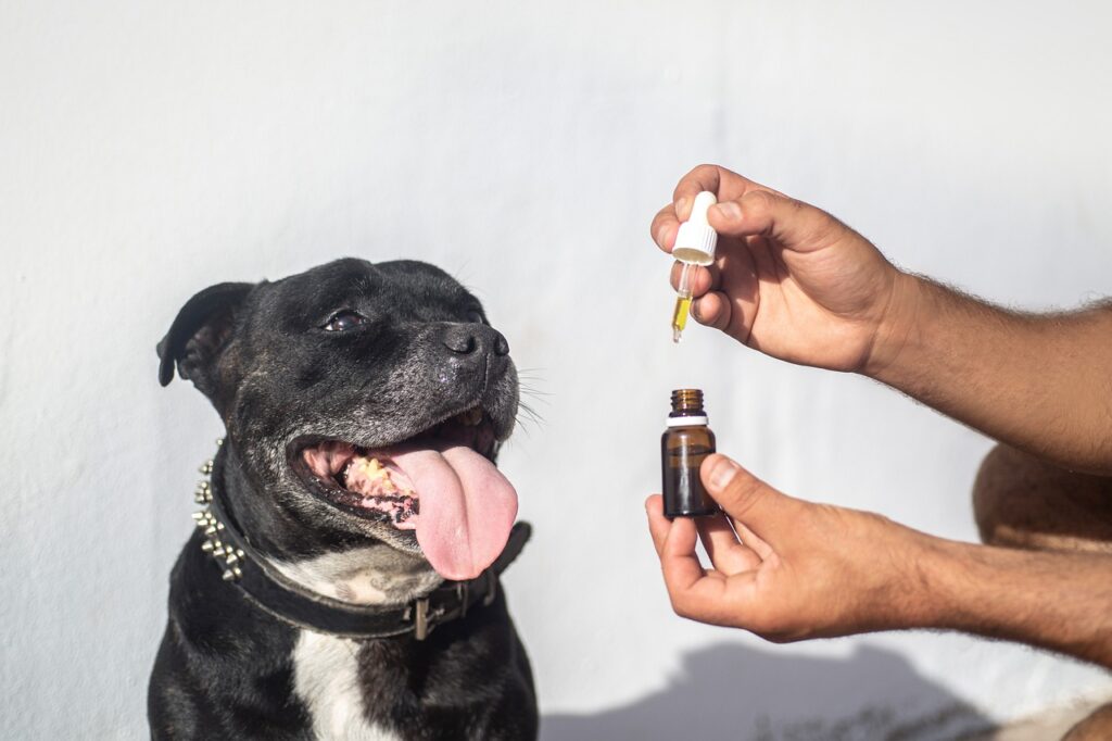 a dog is being fed a bottle of oil