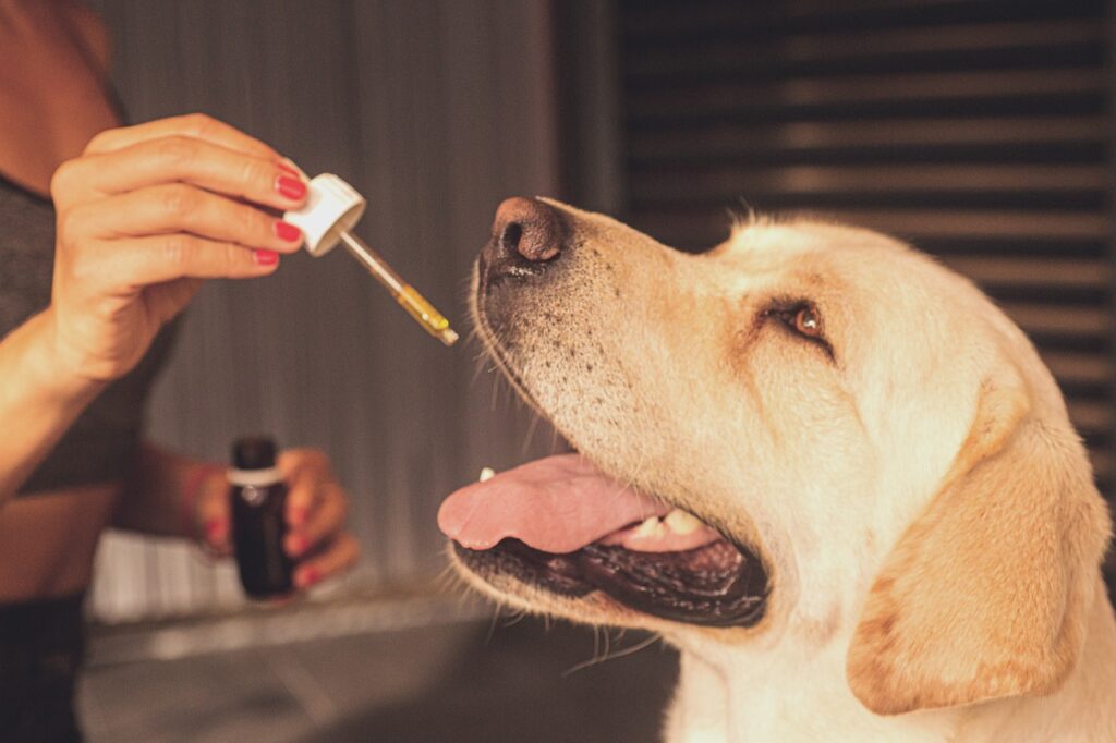 a woman is giving a dog a bottle of oil